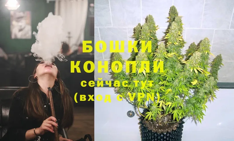 цена   Нефтекумск  Шишки марихуана OG Kush 